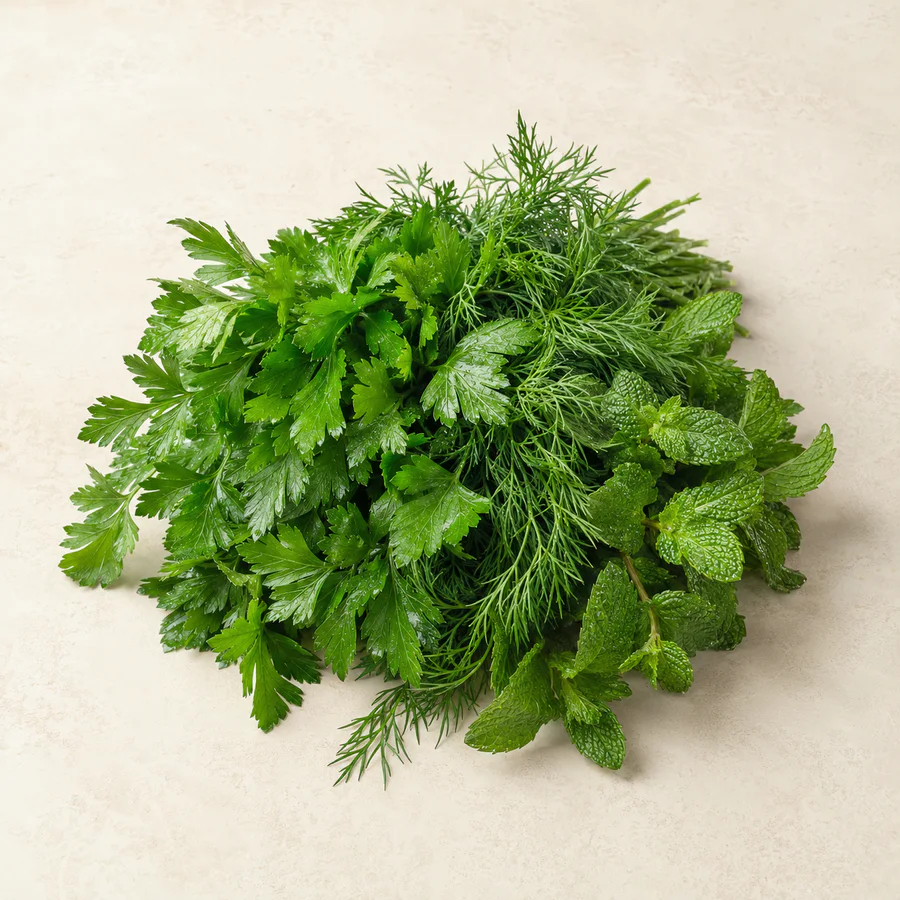 Frische Petersilie, Dill und Minze
